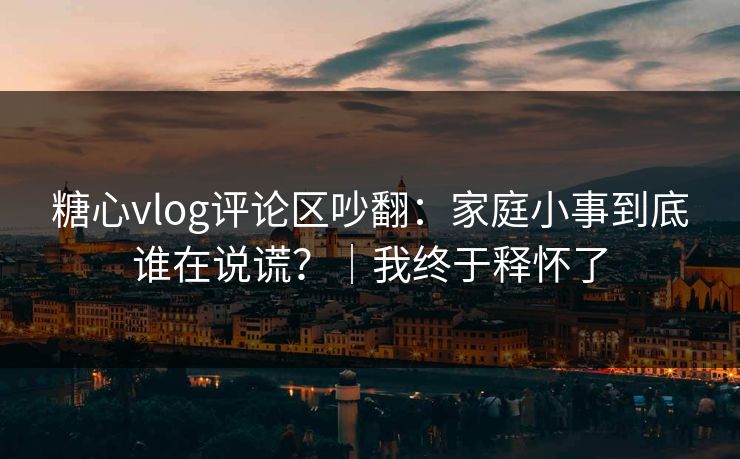 糖心vlog评论区吵翻：家庭小事到底谁在说谎？｜我终于释怀了