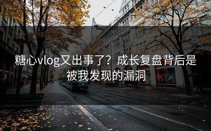 糖心vlog又出事了？成长复盘背后是被我发现的漏洞