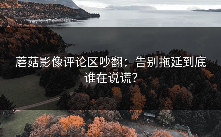 蘑菇影像评论区吵翻：告别拖延到底谁在说谎？